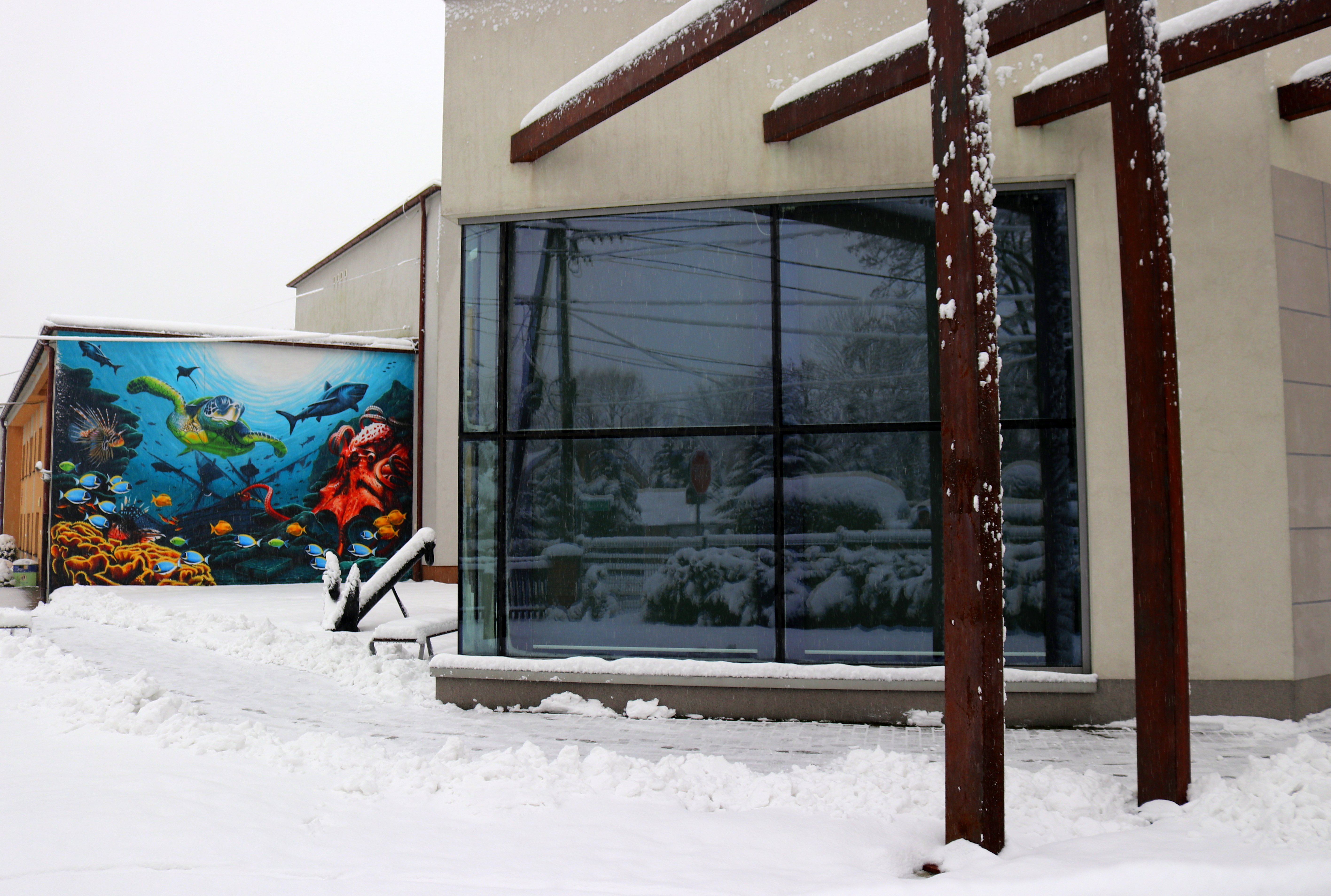 muzeum