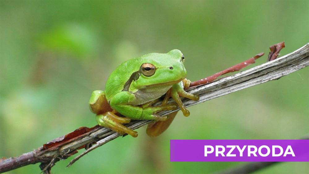 Szlak Przyrody