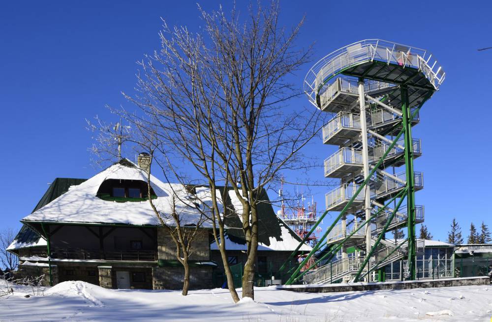 sanki